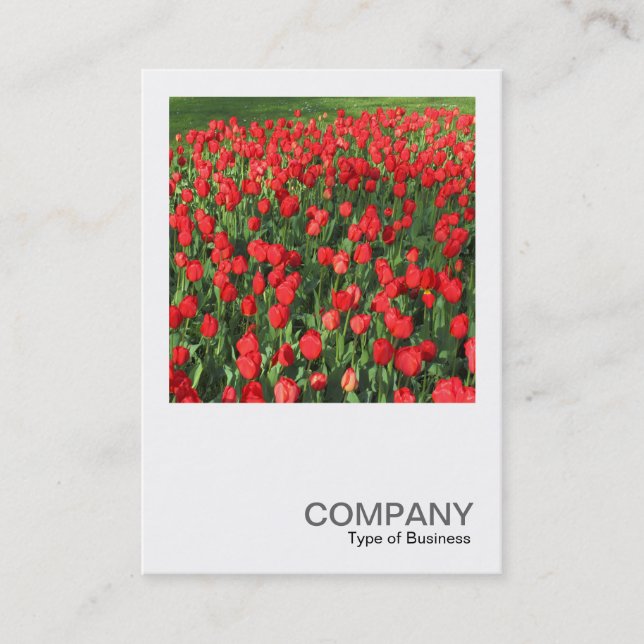 Square Photo 0511 - Bed of Red Tulips 02 Business Card (Front)