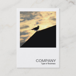 Square Photo 0514 - Herring Gull Sunset Business Card