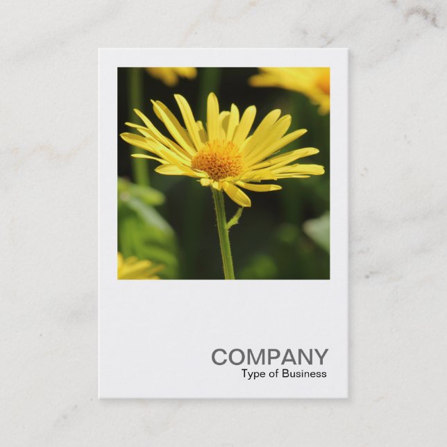 Square Photo 0542 - Yellow Daisy Business Card (Front)