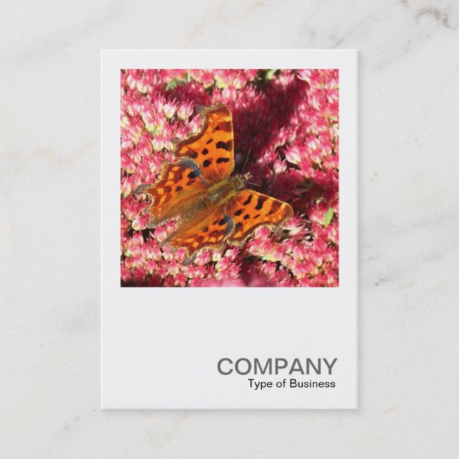 Square Photo 0553 - Comma Butterfly on Sedum Business Card (Front)
