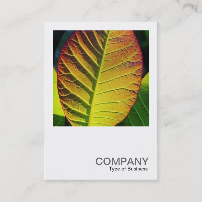 Square Photo 0559 - Colourful Leaf Business Card (Front)