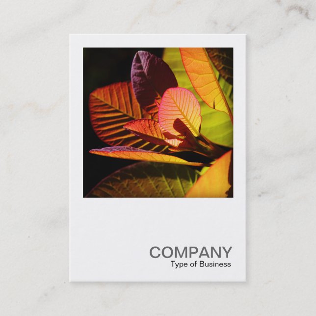 Square Photo 0560 - Colourful Leaves Business Card (Front)