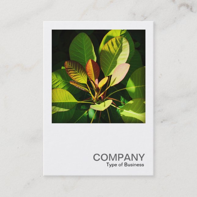 Square Photo 0561 - Colorful Sunlit Leaves Business Card (Front)