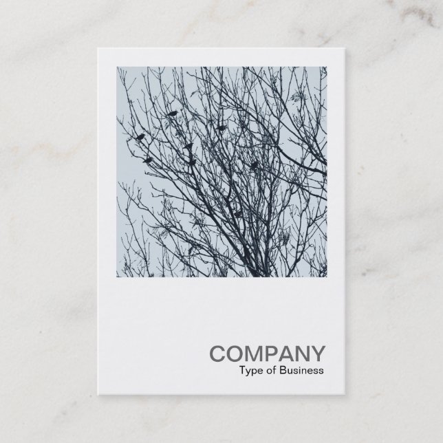 Square Photo 0563 - Starlings in a Tree Business Card (Front)