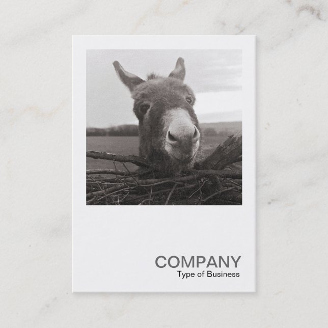Square Photo 0589 - Friendly Donkey Business Card (Front)