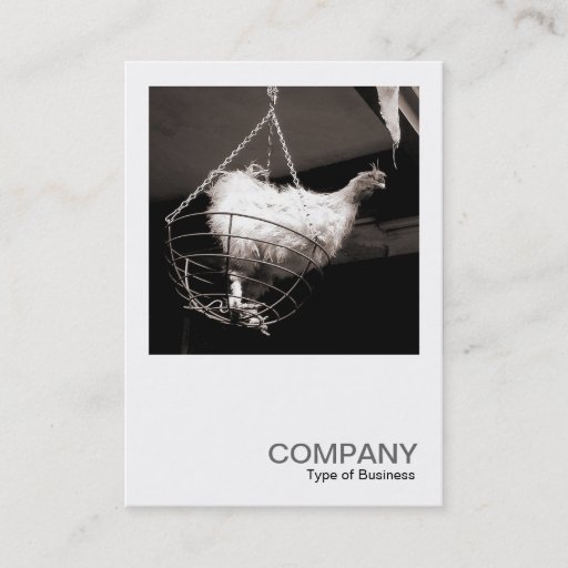 Customizable Square Photo 086 - Chicken in the Basket Business Card