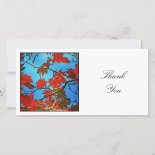 Square Photo - Autumn Leaves Thank You Card