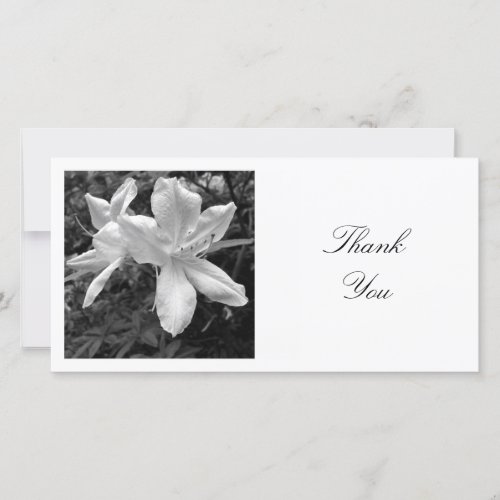 Square Photo _ Azaleas Thank You Card