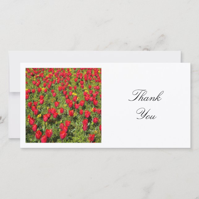 Square Photo - Bed of Red tulips Thank You Card (Front)