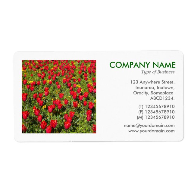 Square Photo - Bed of Tulips Label (Front)