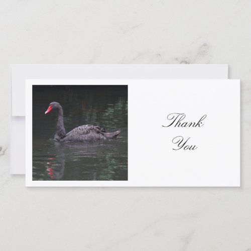 Square Photo _ Black Swan Thank You Card