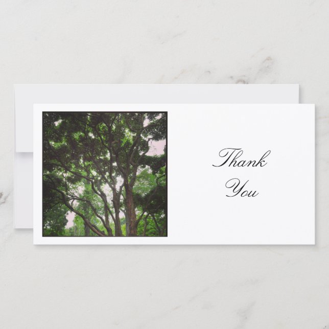 Square Photo - Branches Thank You Card (Front)