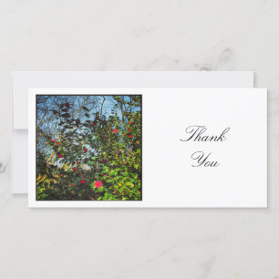 Square Photo - Camellias 02 Thank You Card