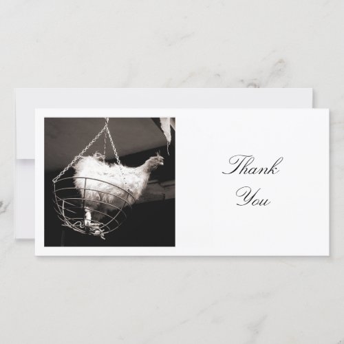 Square Photo _ Chicken in the Basket Thank You Card