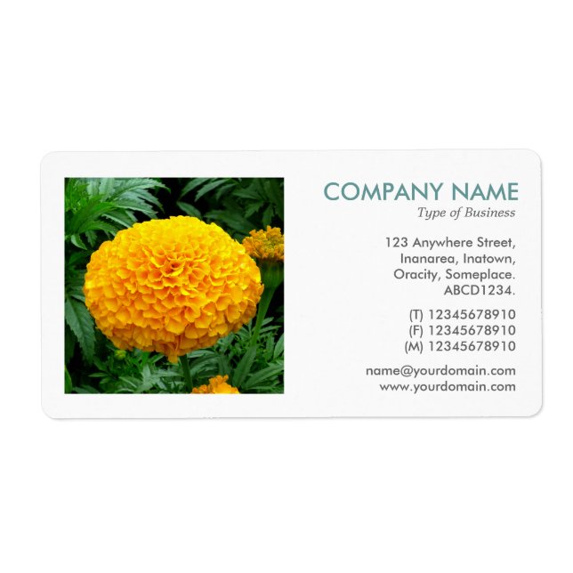 Square Photo - Chrysanthemum Label (Front)