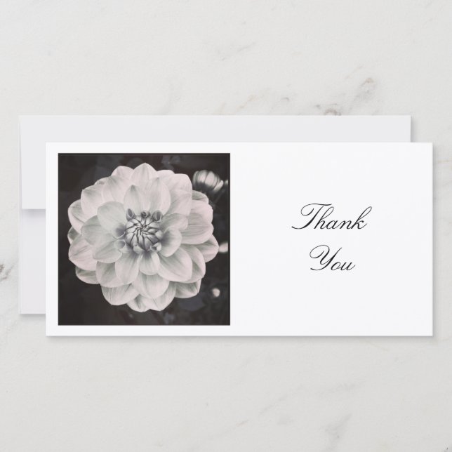 Square Photo - Chrysanthemum Thank You Card (Front)