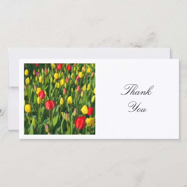 Square Photo - Colorful Tulips Thank You Card (Front)