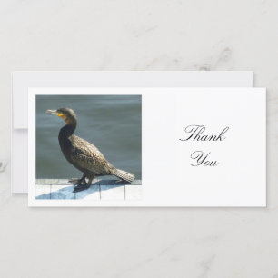 Square Photo - Cormorant Thank You Card