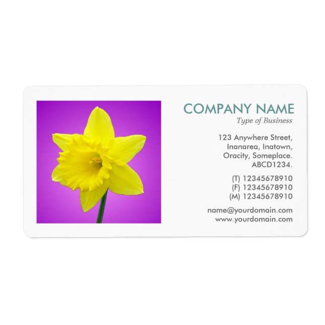 Square Photo - Daffodil Label (Front)