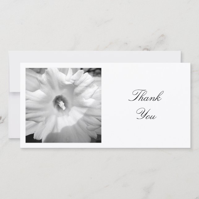 Square Photo - Daffodil Thank You Card (Front)