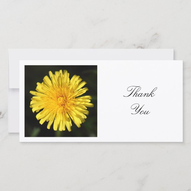Square Photo - Dandelion Thank You Card (Front)