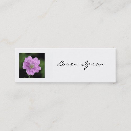 Square Photo _ Geranium Endressii Mini Business Card