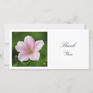 Square Photo - Geranium Thank You Card