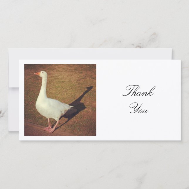 Square Photo - Goose Thank You Card (Front)