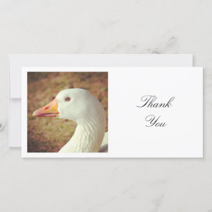 Square Photo - Goose Thank You Card