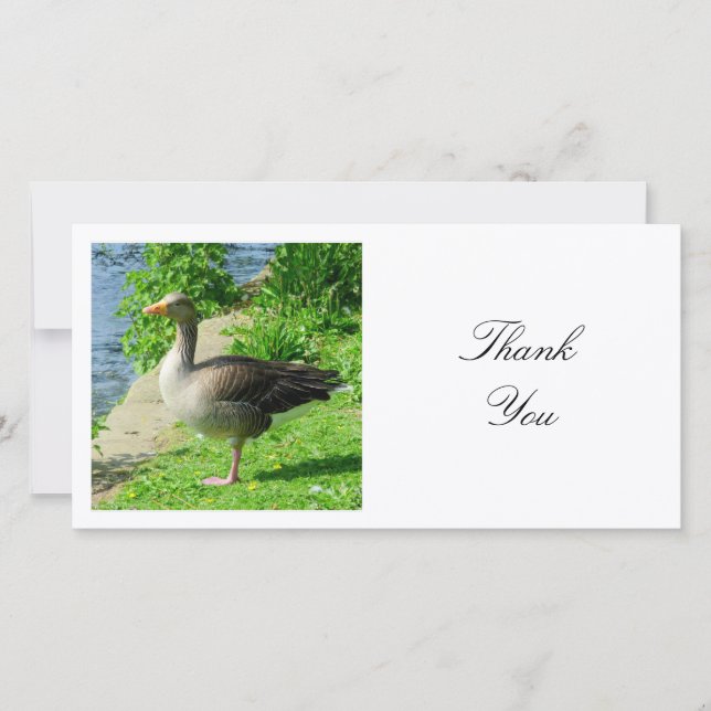 Square Photo - Greylag Goose Thank You Card (Front)