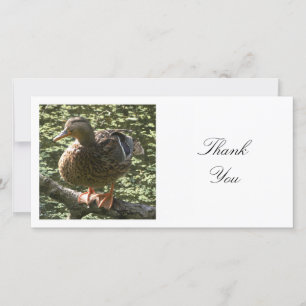 Square Photo - Happy Duck Thank You Card