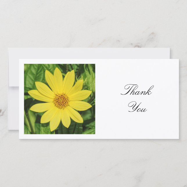 Square Photo - Helianthus 'Lemon Queen' Sunflower Thank You Card (Front)