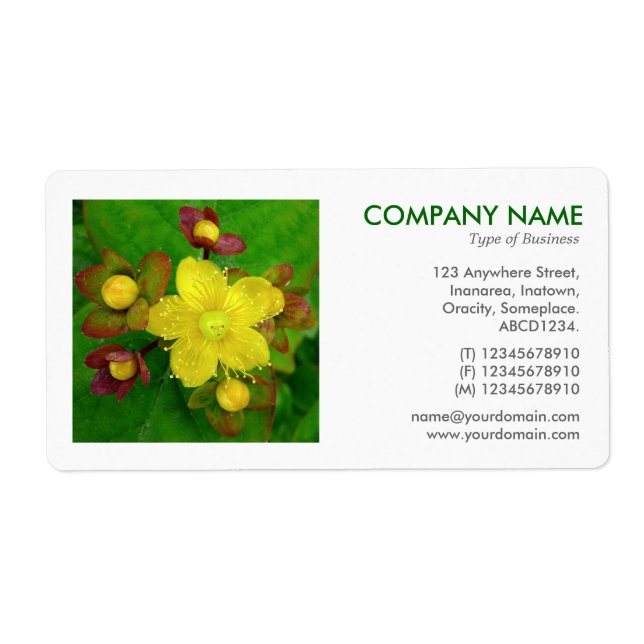 Square Photo - Hypericum perforatum Label (Front)