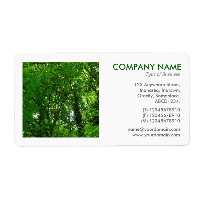 Square Photo - In the Trees Label (Front)