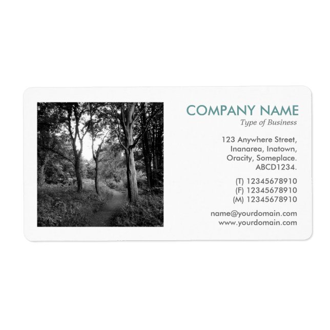 Square Photo - In the Woods Label (Front)