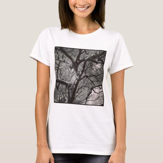 Square Photo - Magnolia Tree in Early Spring T-Shirt (Front)
