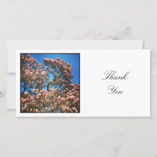 Square Photo - Magnolia Tree Thank You Card
