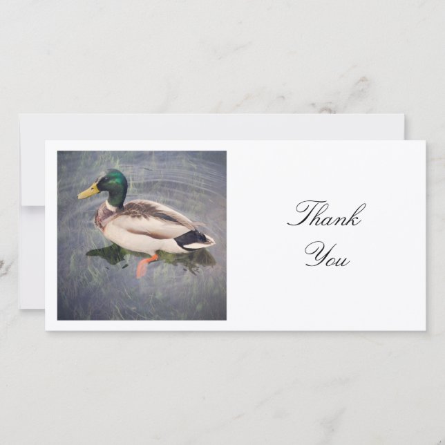 Square Photo - Mallard Duck Thank You Card (Front)