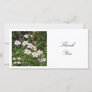 Square Photo - Mallow Flowers Thank You Card