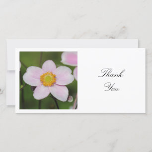 Square Photo - Mallow Thank You Card