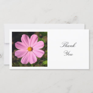 Square Photo - Pink Cosmos Thank You Card