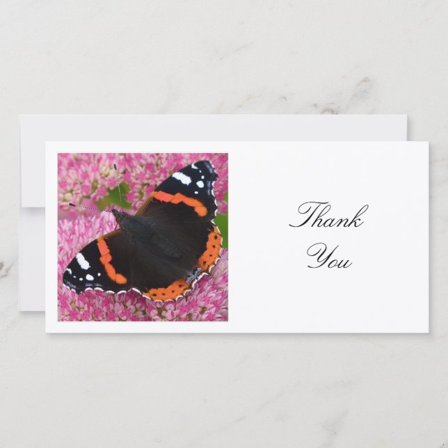 Square Photo - Red Admiral Butterfly Thank You Card (Front)