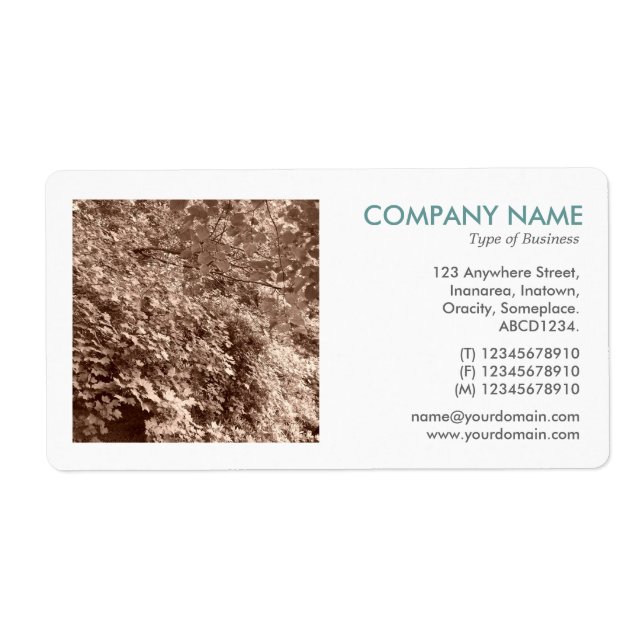 Square Photo - Sepia Leaves Label (Front)