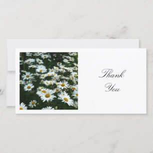 Square Photo - Shasta Daisies Thank You Card