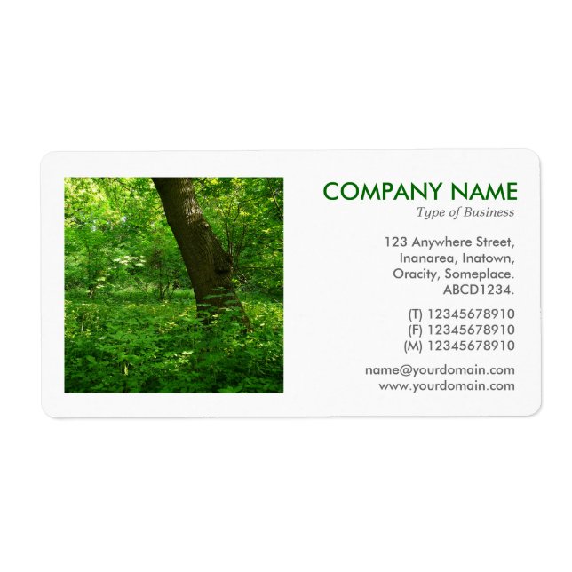 Square Photo - Spring in the Woods Label (Front)