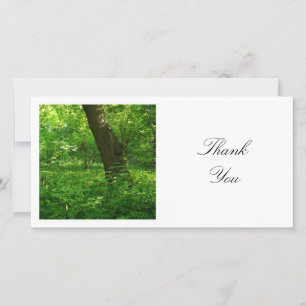 Square Photo - Spring in the Woods Thank You Card