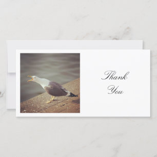 Square Photo - Squawking Seagull Thank You Card