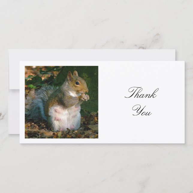 Square Photo - Squirrel Thank You Card (Front)