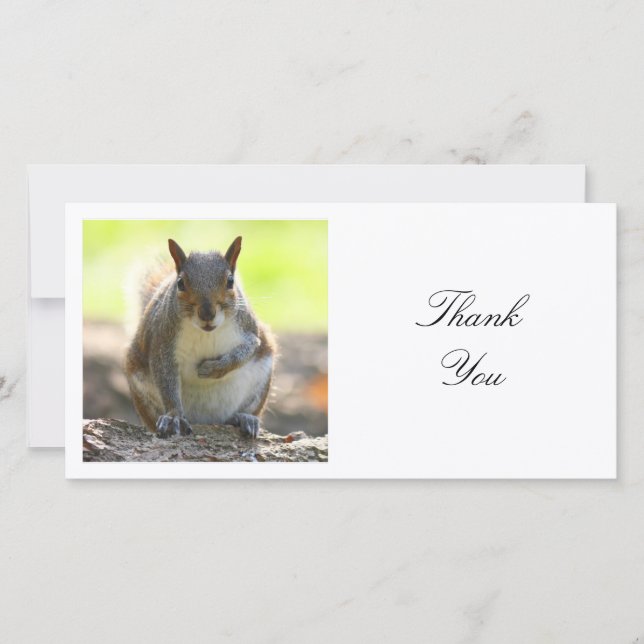 Square Photo - Squirrel Thank You Card (Front)