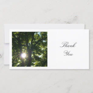 Square Photo - Sun Through the Trees Thank You Card